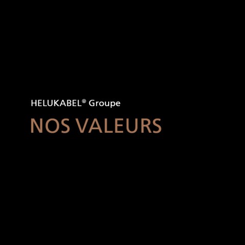 Nos valeurs